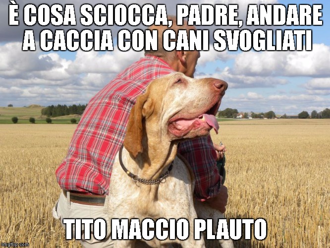 È cosa sciocca, padre, andare a caccia con cani svogliati. (Tito Maccio Plauto)