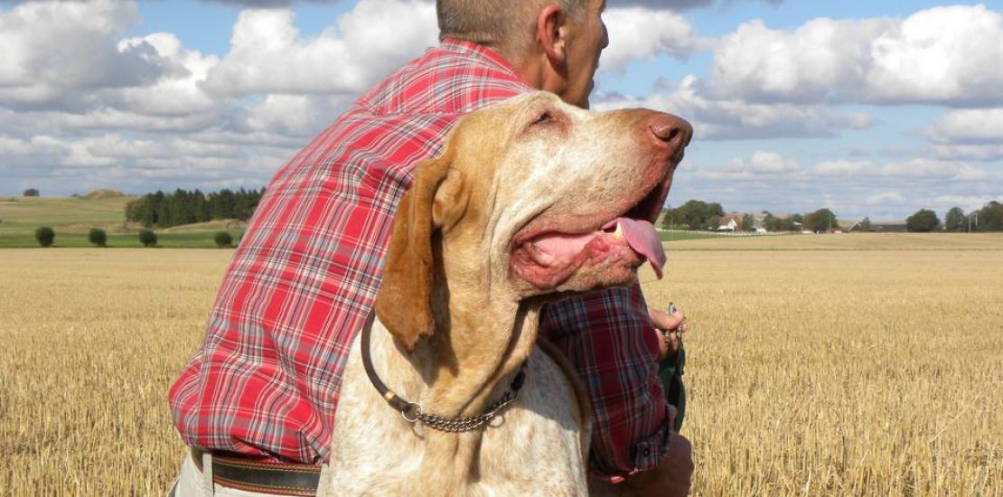 SE CACCI CON UN CANE DA FERMA, CHE CACCIATORE SEI