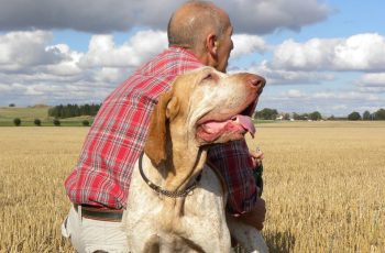 SE CACCI CON UN CANE DA FERMA, CHE CACCIATORE SEI