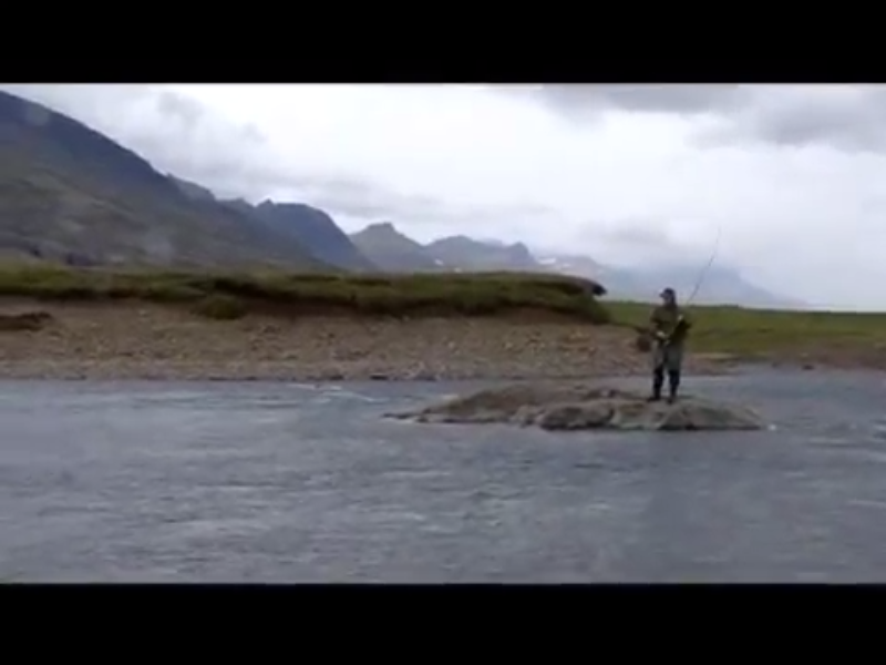 Pesca al Salmone a Breiðdalsa (Islanda)