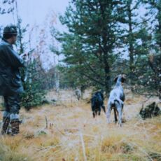 PERCHÉ IO, TU, NOI CACCIAMO OGGI (...e altri no)?