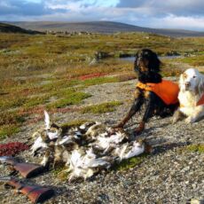 Caccia alle pernici alpine: parte 1 Caccia alle pernici alpine: parte 1