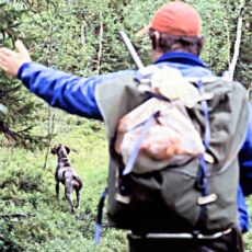 Bo Mrtensson och Anci