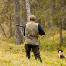 Cacciare il Cedrone - parte 1 Cacciare il Cedrone - parte 1