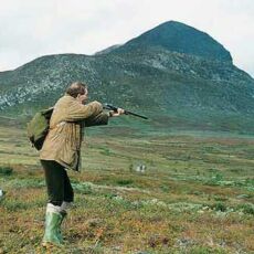 CACCIA ALLE PERNICI BIANCHE CACCIA ALLE PERNICI BIANCHE